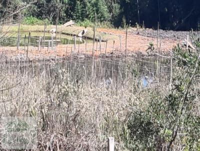 Terreno para Venda, em Pedra Bela, bairro .