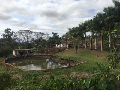 Stio para Venda, em Santa Amlia, bairro Santa Amlia, 3 dormitrios, 2 banheiros, 8 vagas