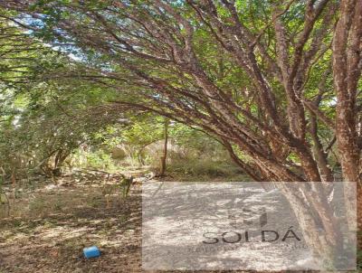 Casa para Venda, em Paulnia, bairro VILA JOS PAULINO NOGUEIRA, 5 dormitrios, 3 banheiros, 1 sute, 2 vagas