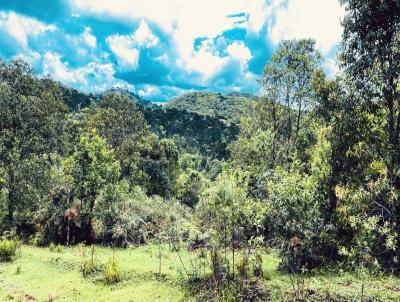 Fazenda para Venda, em Castro, bairro 60km de Castro