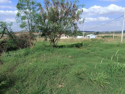 Terreno para Venda, em Marechal Cndido Rondon, bairro Residencial Fenix