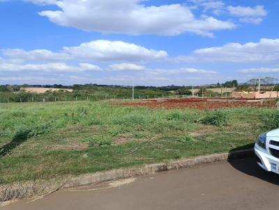 Terreno para Venda, em Marechal Cndido Rondon, bairro Residencial Fenix