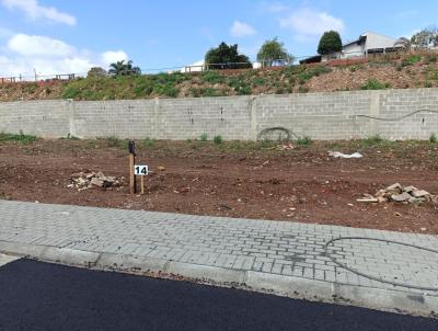 Terreno para Venda, em Curitiba, bairro Xaxim