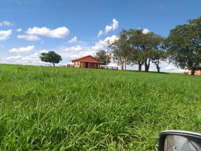 Fazenda para Venda, em Penpolis, bairro Alto Alegre