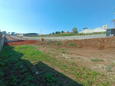 Terreno para Venda, em Curitiba, bairro Xaxim