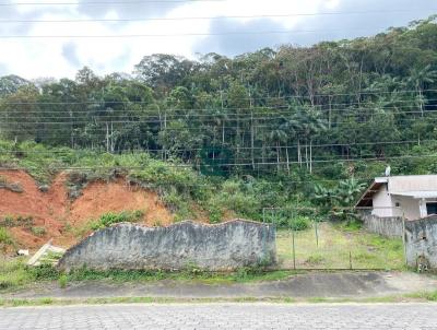 Terreno para Venda, em Blumenau, bairro Fortaleza Alta