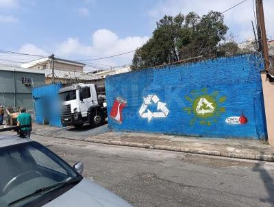 Terreno para Venda, em So Paulo, bairro Jardim Catanduva