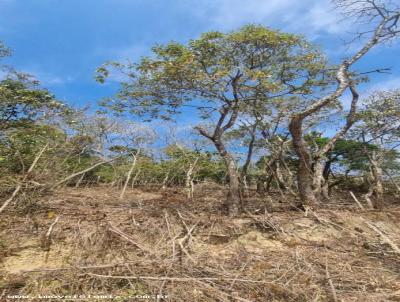 Terreno Rural para Venda, em Santa Branca, bairro Estncia nova Campos do Jordo