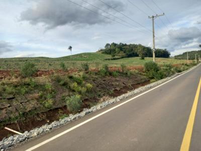 Stio / Chcara para Venda, em Santa Maria do Herval, bairro Boa Vista do Herval