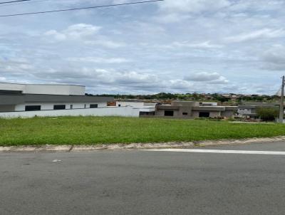imagem-miniatura