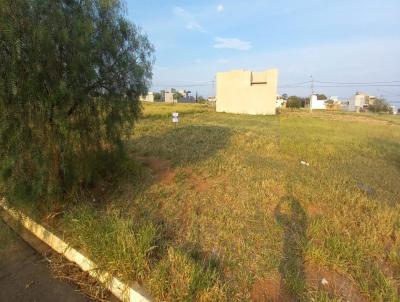Terreno para Venda, em Mato, bairro Eudes Benassi