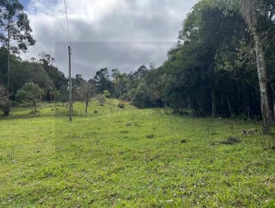 Stio para Venda, em Serto Santana, bairro .