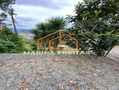 Terreno para Venda, em Presidente Getlio, bairro Centro