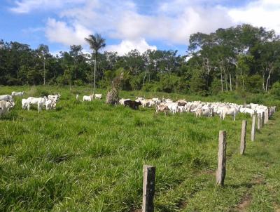 Fazenda para Venda, em Novo Mundo, bairro Rural