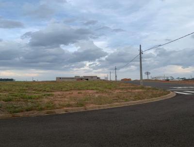 Terreno para Venda, em Presidente Venceslau, bairro Residencial Flamboyant