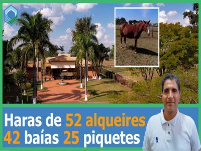 Haras para Venda, em Cesrio Lange, bairro ZONA RURAL, 1 dormitrio, 5 banheiros, 1 sute