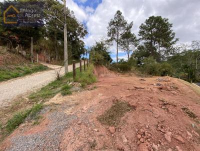 Terreno para Venda, em Miguel Pereira, bairro Summerville