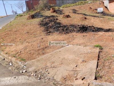 Lote para Venda, em Jaguarina, bairro VILA PRIMAVERA