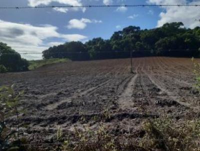 Stio para Venda, em Cachoeiras de Macacu, bairro Quizanga, 3 dormitrios, 1 banheiro, 1 sute, 1 vaga