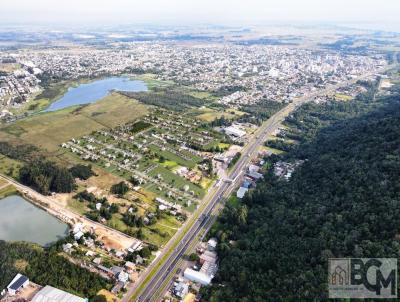 Terreno para Venda, em Osrio, bairro Caiu do Cu