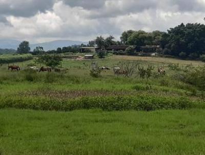 Stio para Venda, em Itabora, bairro Itapacor, 2 dormitrios, 1 banheiro, 1 vaga