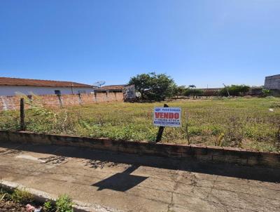 Terreno para Venda, em Ibir, bairro So Benedito
