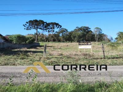 Terreno para Venda, em Irati, bairro Nhapindazal