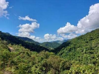 Fazenda para Venda, em Cachoeiras de Macacu, bairro Japuba