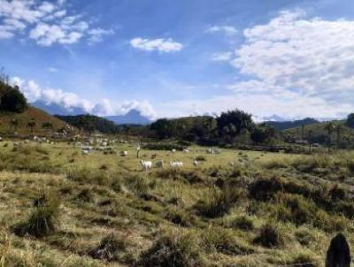 Fazenda para Venda, em Cachoeiras de Macacu, bairro Vecchi, 3 dormitrios, 2 banheiros, 1 vaga