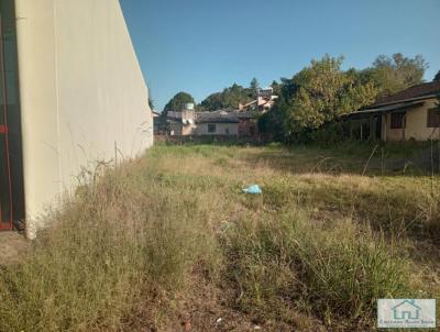 Terreno para Venda, em Sapiranga, bairro Centenrio