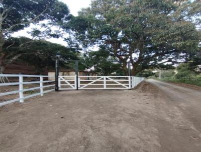 Stio para Venda, em Tangu, bairro Mangueirinha, 2 dormitrios, 1 banheiro