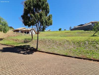 Terreno para Venda, em Ourinhos, bairro Parque Trianon