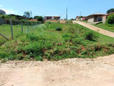 Terreno para Venda, em Araucria, bairro Guajuvira
