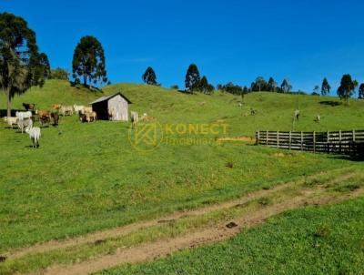 Fazenda para Venda, em Campo Alegre, bairro Cubatao