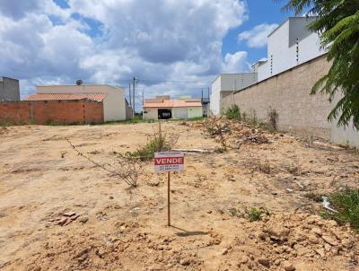 Lote para Venda, em Nova Vencia, bairro Villagio Masarin