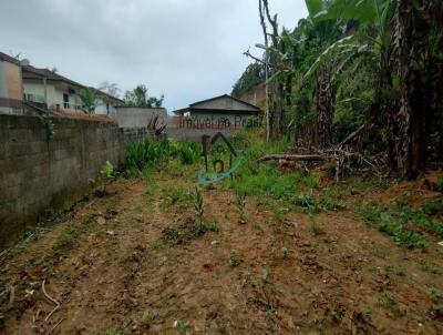 Terreno para Venda, em Caraguatatuba, bairro Massaguau