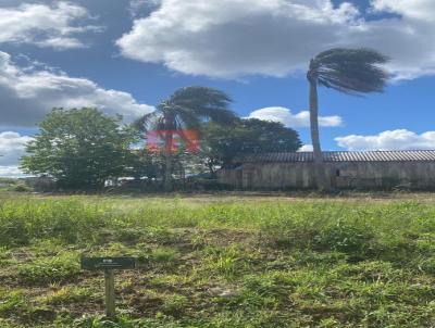 Terreno para Venda, em , bairro LINHA SANTA CRUZ