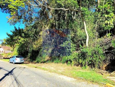 Terreno para Venda, em Terespolis, bairro agries