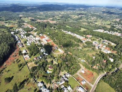 Terreno para Venda, em Santa Cruz do Sul, bairro Country