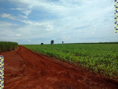 Terreno para Venda, em Araras, bairro Jardim Anhangera