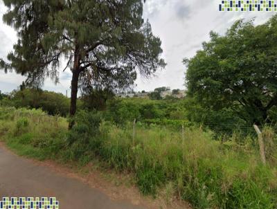 Terreno para Venda, em Campinas, bairro Fazenda Santa Cndida