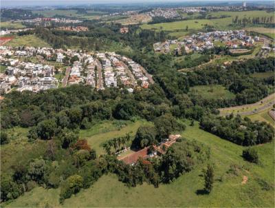 Terreno para Venda, em Campinas, bairro Alphaville Dom Pedro