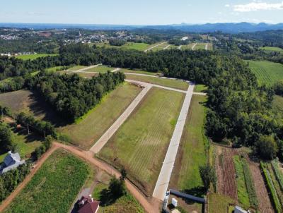 Terreno para Venda, em Santa Cruz do Sul, bairro LINHA SANTA CRUZ