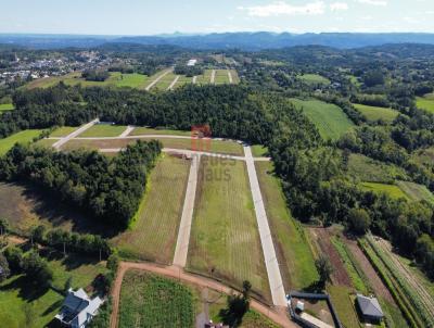 Terreno para Venda, em Santa Cruz do Sul, bairro LINHA SANTA CRUZ