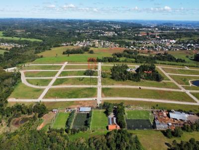 Terreno para Venda, em Santa Cruz do Sul, bairro LINHA SANTA CRUZ