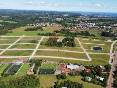 Terreno para Venda, em Santa Cruz do Sul, bairro LINHA SANTA CRUZ