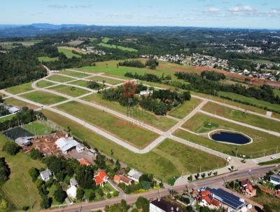 Terreno para Venda, em Santa Cruz do Sul, bairro LINHA SANTA CRUZ