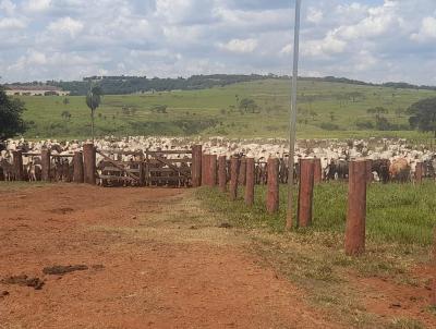 Fazenda para Venda, em Maracaju, bairro Rural