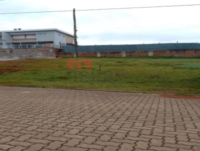 Terreno para Venda, em Santa Cruz do Sul, bairro Country