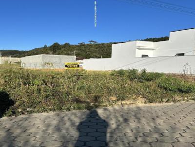 Terreno para Venda, em Aurora, bairro Ribeiro Pacas